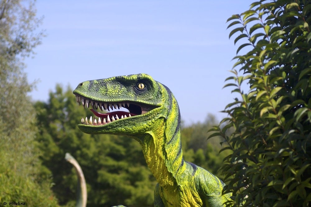 planet exotica-parc zoologique charente Maritime